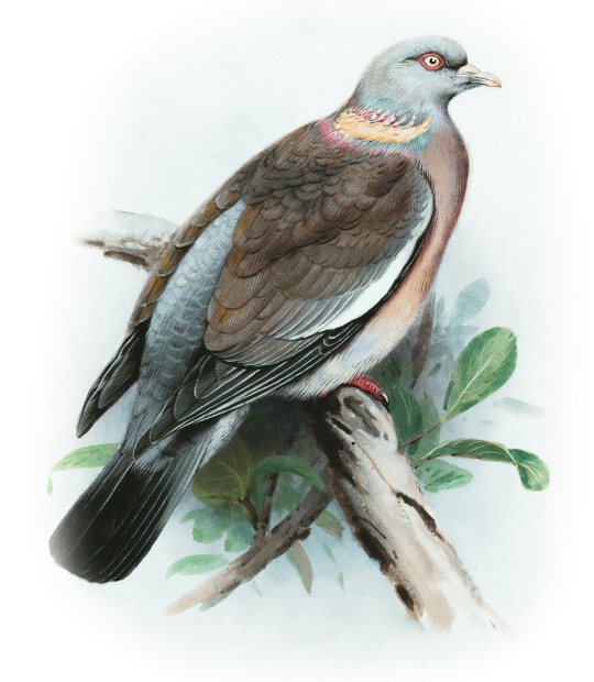 произведение редко. литературный герой: он был высокого роста плечист и сложен на славу. становился день лесов таинственная с печальным шумом картинки. бах барокко. произведение редко.